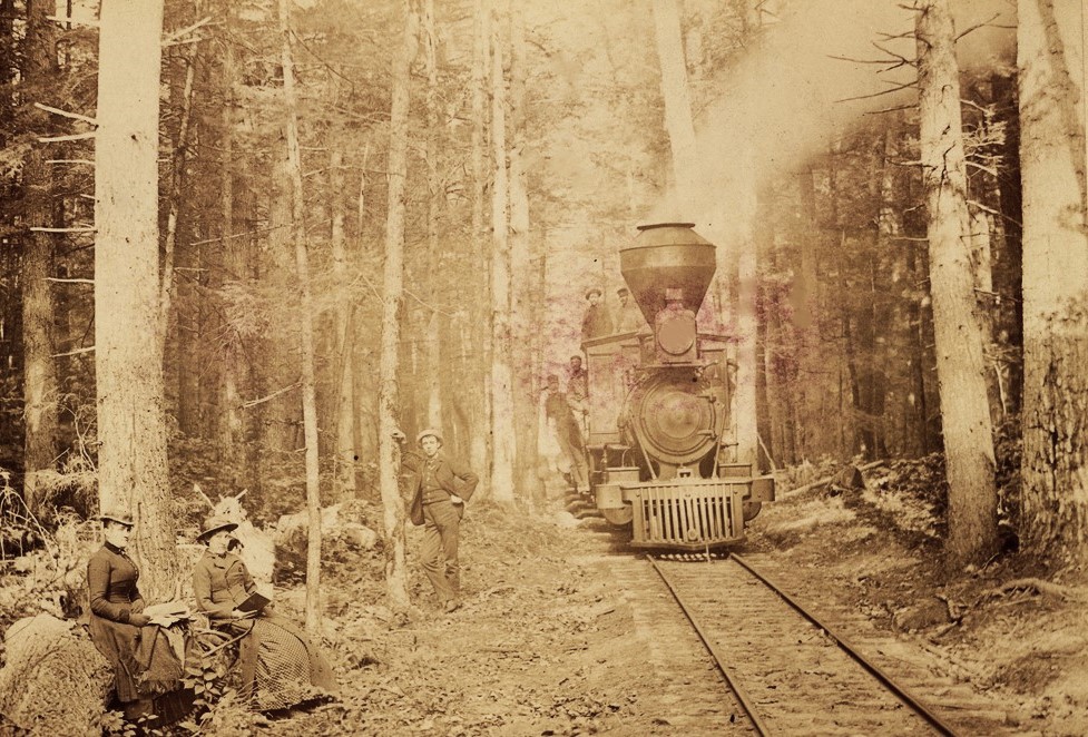 Mason & Oceana Train in Woods