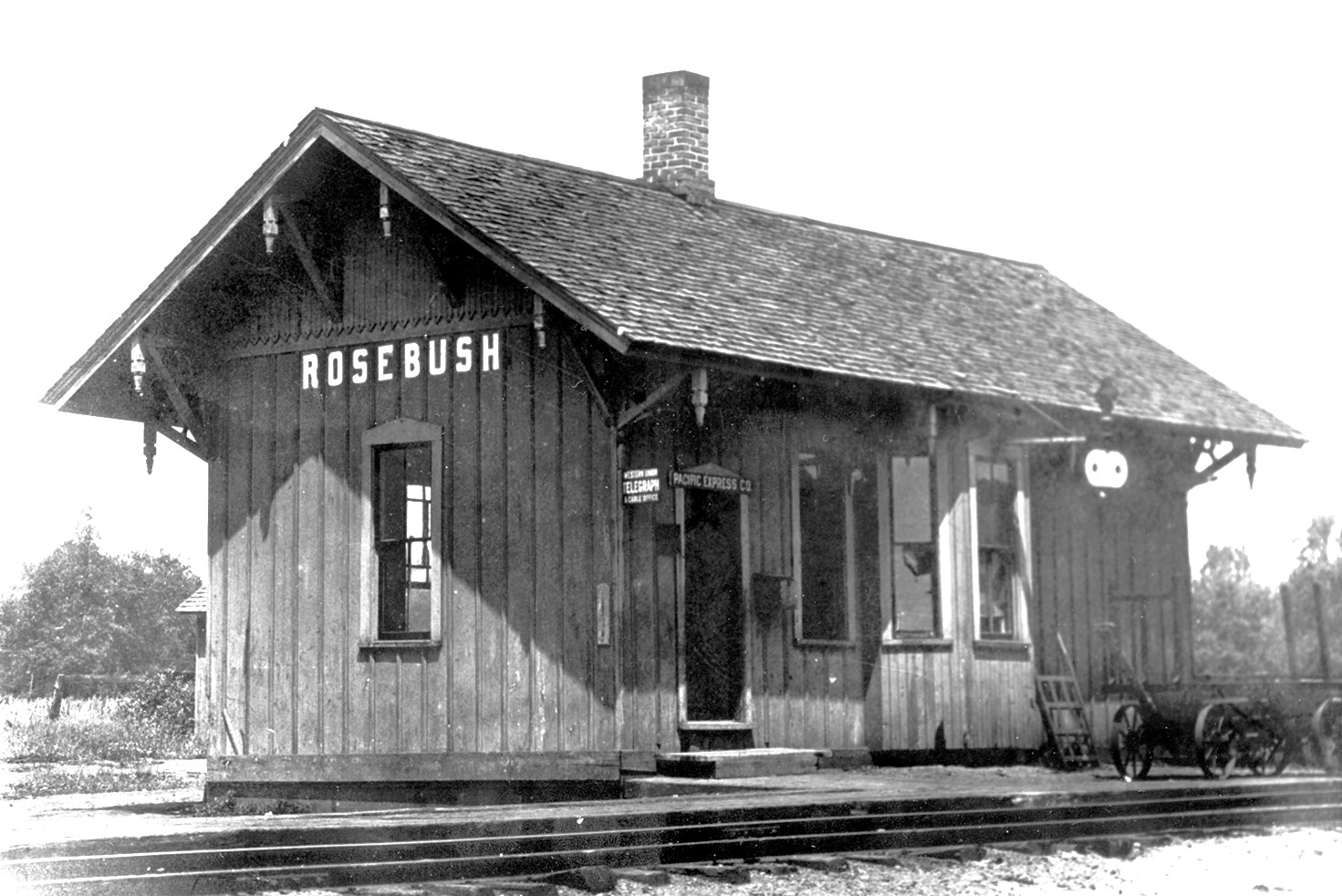 AA Rosebush Depot