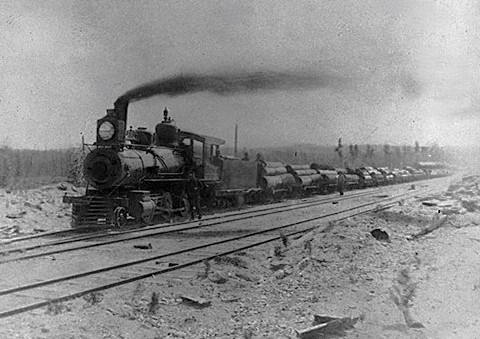 Potts Logging Railroad locomotive